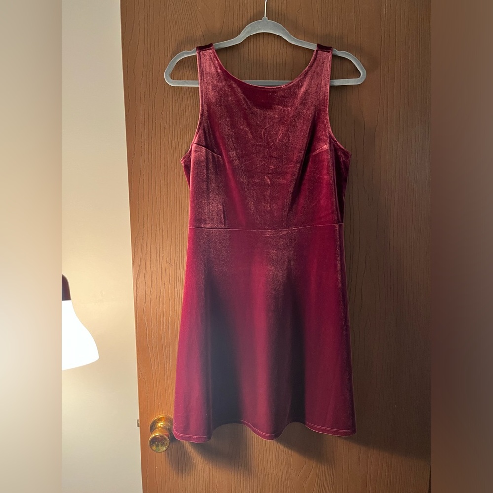 Size Medium Velvet Express Dress